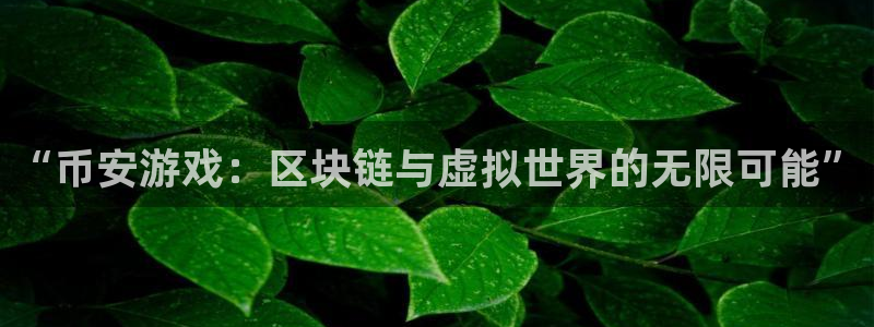 法国新宝GG官网：“币安游戏：区块链与虚拟世界的无限可能”
