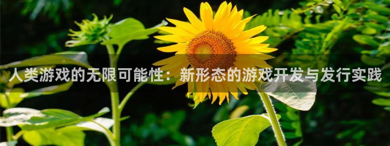 新宝GG官网注册登录官网：人类游戏的无限可能性：新形态的游戏开发与发行实践