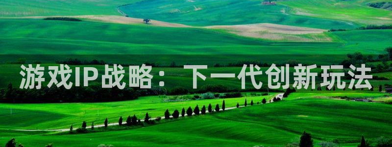 新宝GG电商怎么样：游戏IP战略：下一代创新玩法