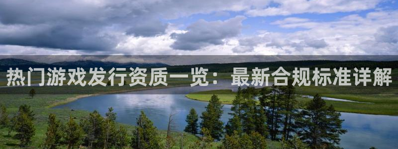 新宝GG有什么寓意：热门游戏发行资质一览：最新合规标准详解