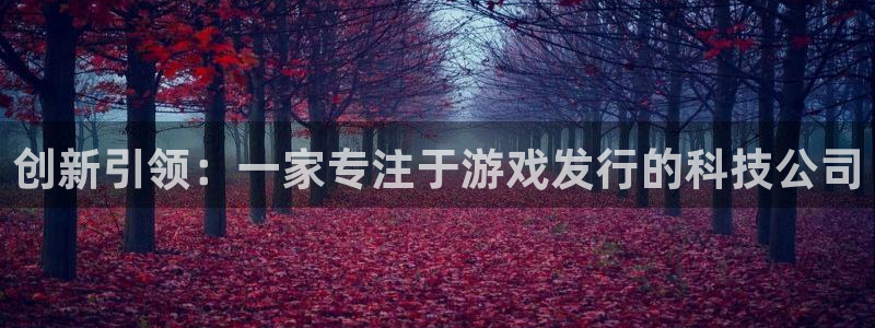 新宝GG官网解绑银行卡：创新引领：一家专注于游戏发行的科技公司