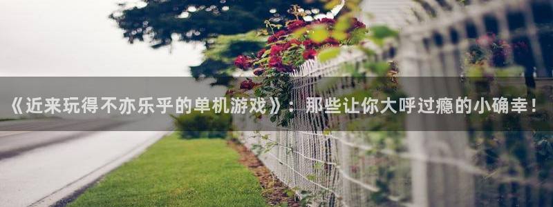新宝GG官网客服电话是多少：《近来玩得不亦乐乎的单机游戏》：那些让你大呼过瘾的小确幸！