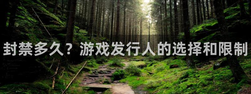 新宝GG官网登录注册失败：封禁多久？游戏发行人的选择和限制