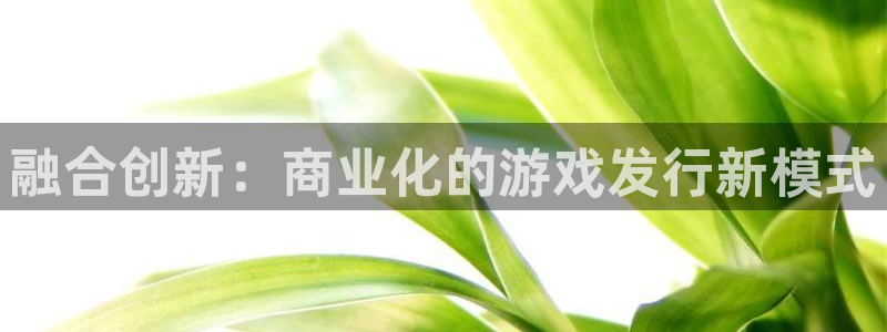 新宝GG官网注册方法有哪些：融合创新：商业化的游戏发行新模式