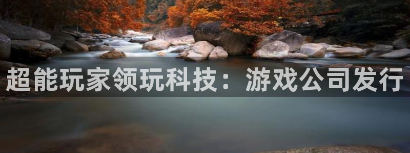 法国新宝GG官网