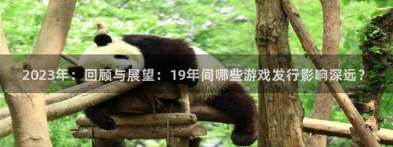 新宝GG防水是几线品牌：2023年：回顾与展望：19年间哪些游戏发行影响深远？