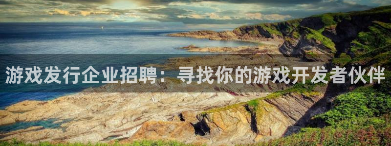 新宝GG子文化有什么游戏：游戏发行企业招聘：寻找你的游戏开发者伙伴